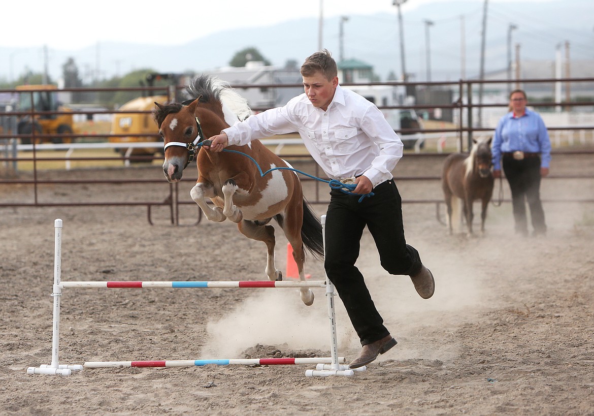 Small hooves and big hearts Mini horses master the arena Daily Inter Lake